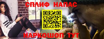 шишки Будённовск