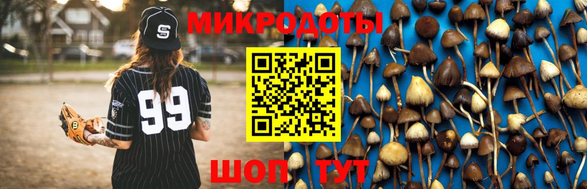 Псилоцибиновые грибы Psilocybine cubensis Симферополь